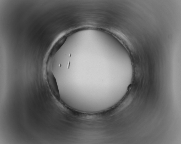 X0000086921326200705141714