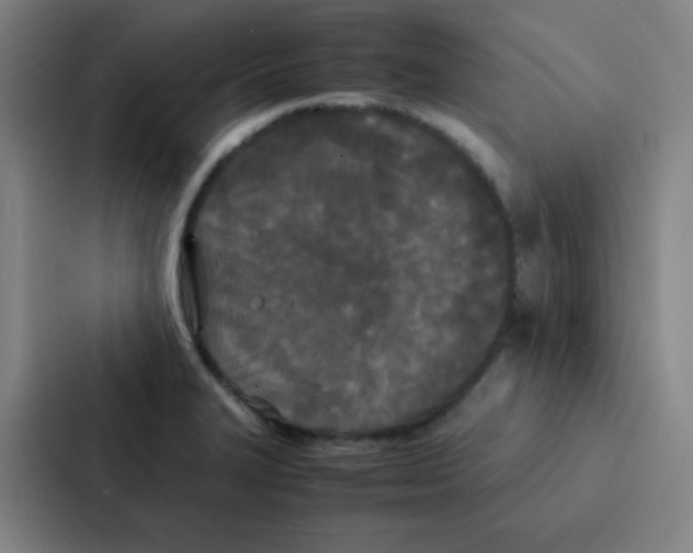 X0000086921327200705141714