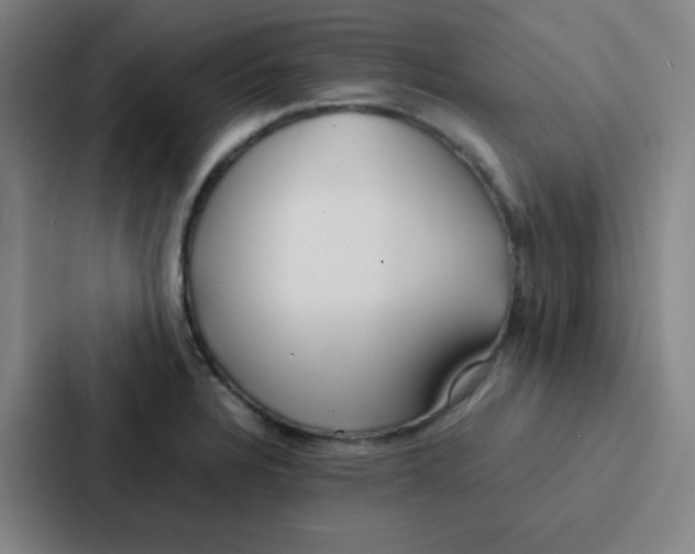 X0000086921328200705141714