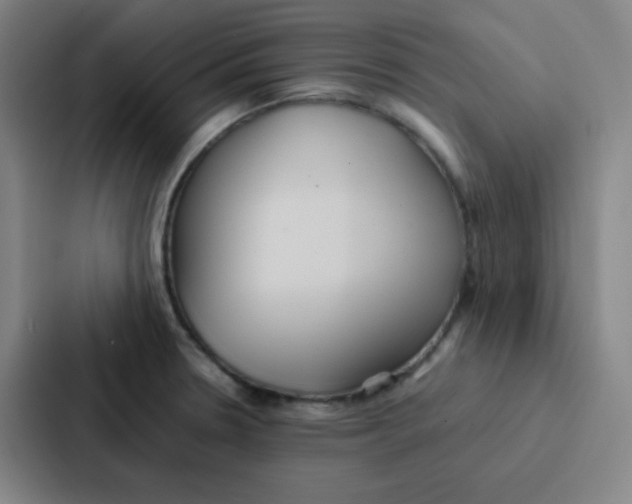 X0000086921330200705141714