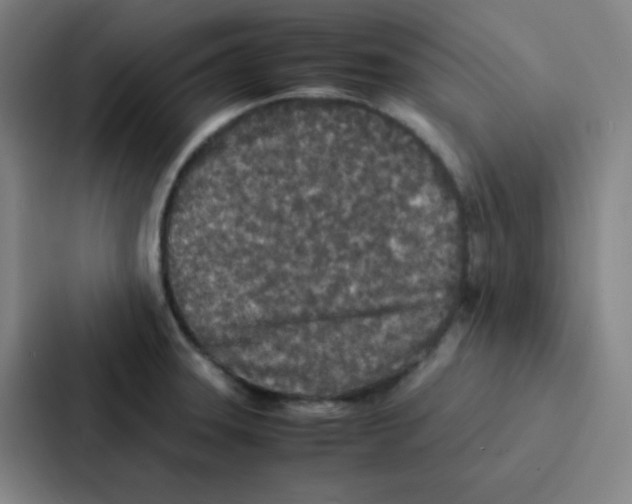 X0000086921331200705141714