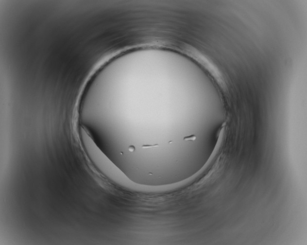 X0000086921332200705141715