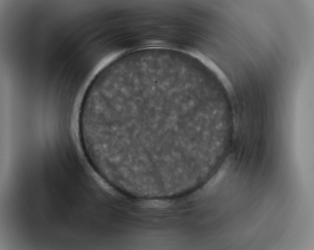 X0000086921333200705141715