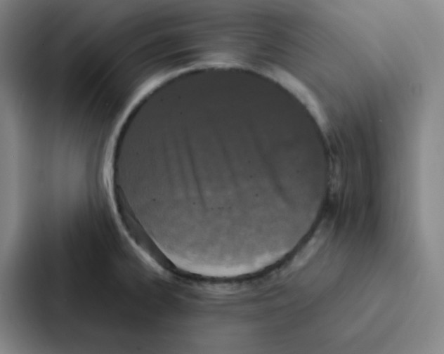 X0000086921334200705141715