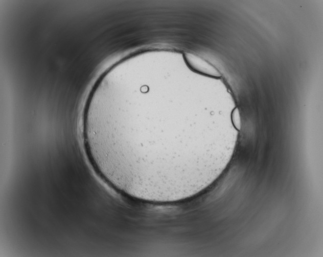 X0000086921335200705141715