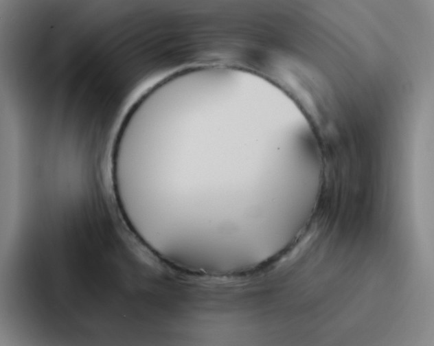 X0000086921336200705141715