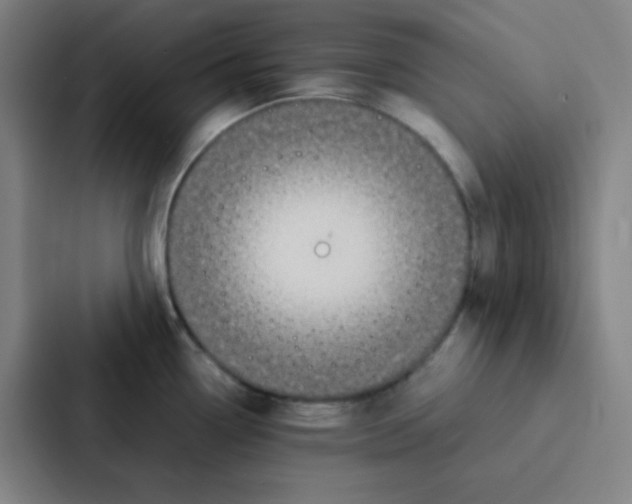 X0000086921338200705141715