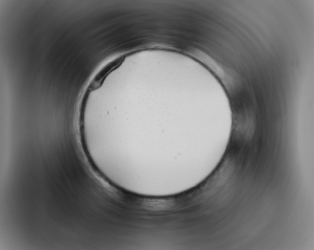 X0000086921339200705141715