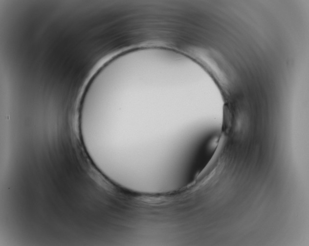 X0000086921340200705141715