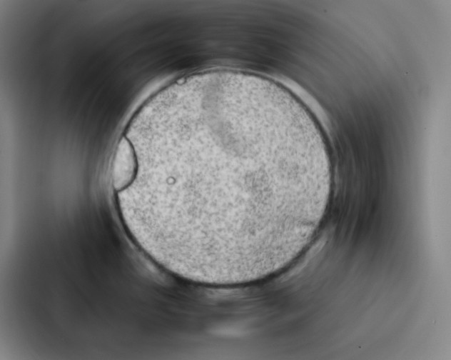 X0000086921341200705141715
