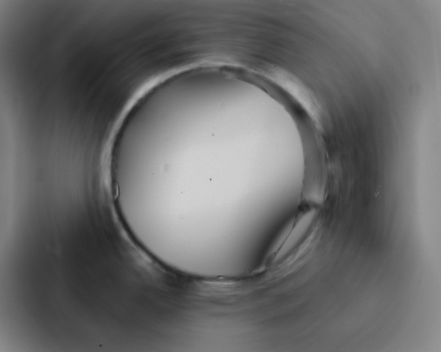 X0000086921342200705141715