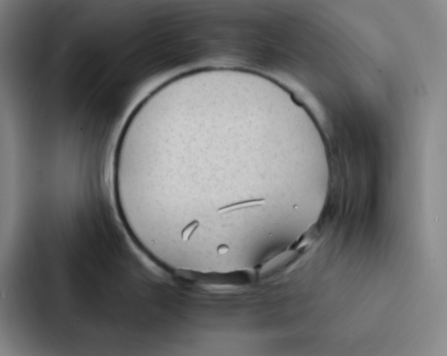 X0000086921343200705141715