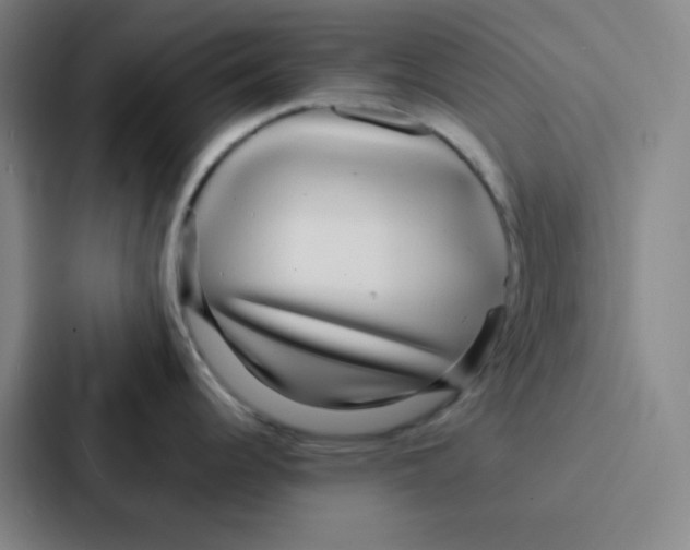 X0000086921344200705141715