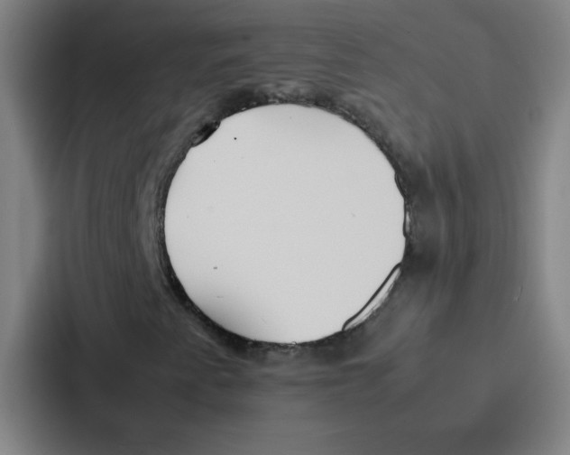 X0000086921345200705141714