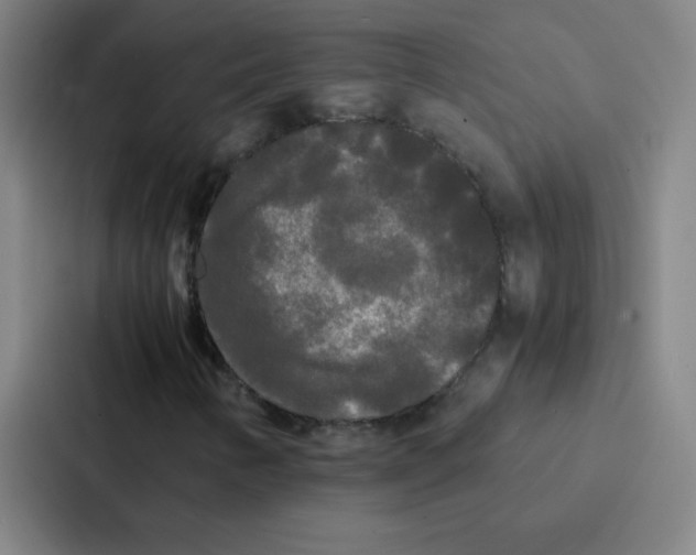 X0000086921346200705141714