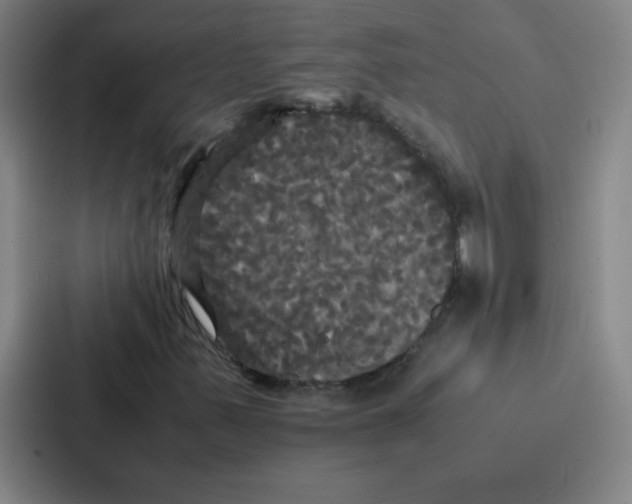 X0000086921347200705141714