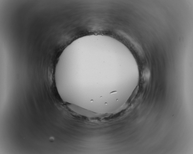 X0000086921348200705141714