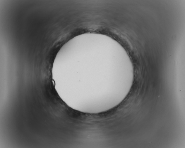 X0000086921349200705141714