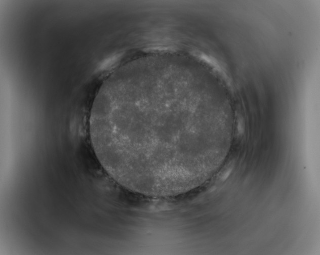 X0000086921350200705141714