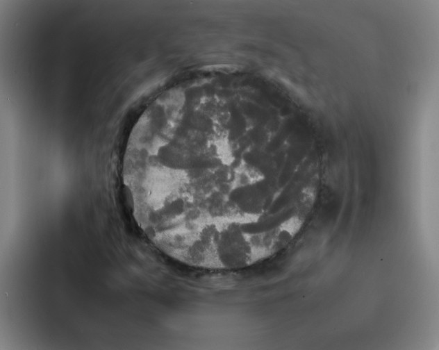 X0000086921351200705141714