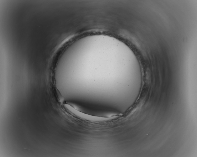 X0000086921352200705141714