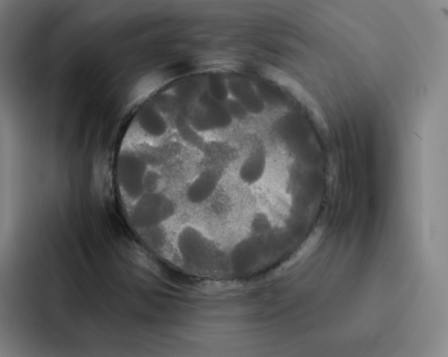 X0000086921354200705141714