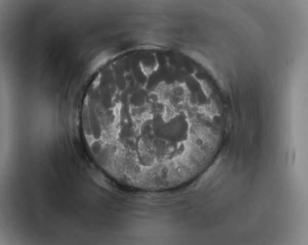 X0000086921355200705141714