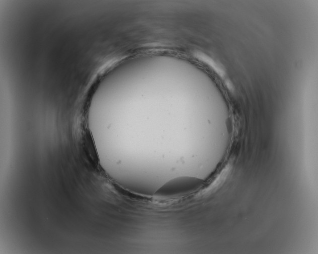 X0000086921357200705141714