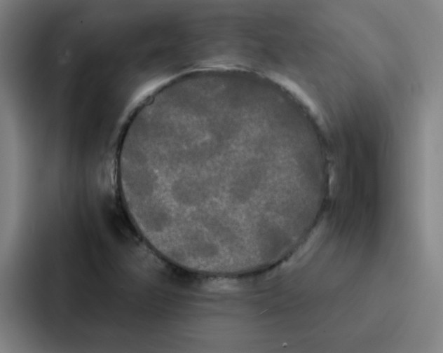 X0000086921358200705141714