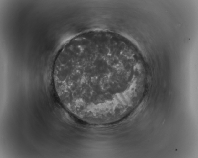 X0000086921359200705141714