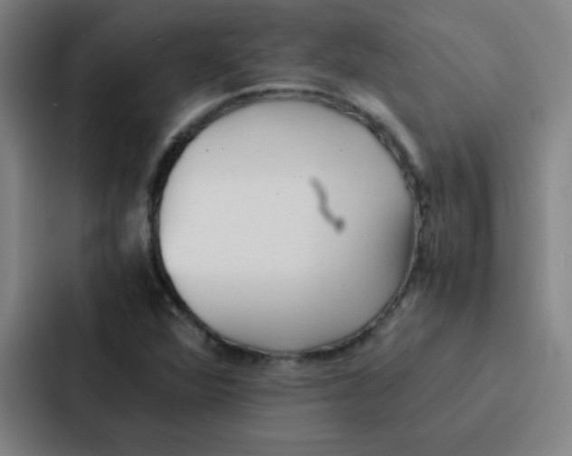 X0000086921360200705141714