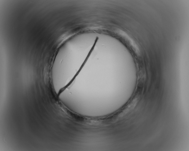 X0000086921361200705141714