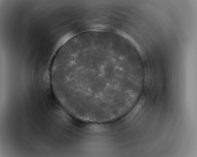 X0000086921362200705141714