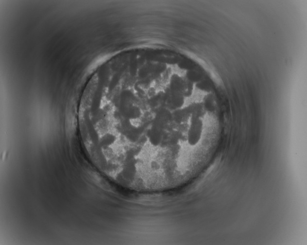 X0000086921363200705141714