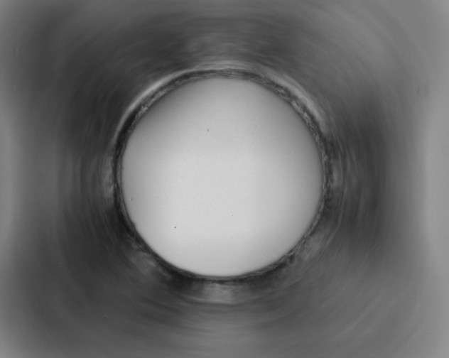 X0000086921364200705141714