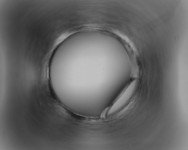 X0000086921365200705141714