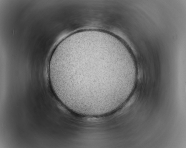 X0000086921366200705141714