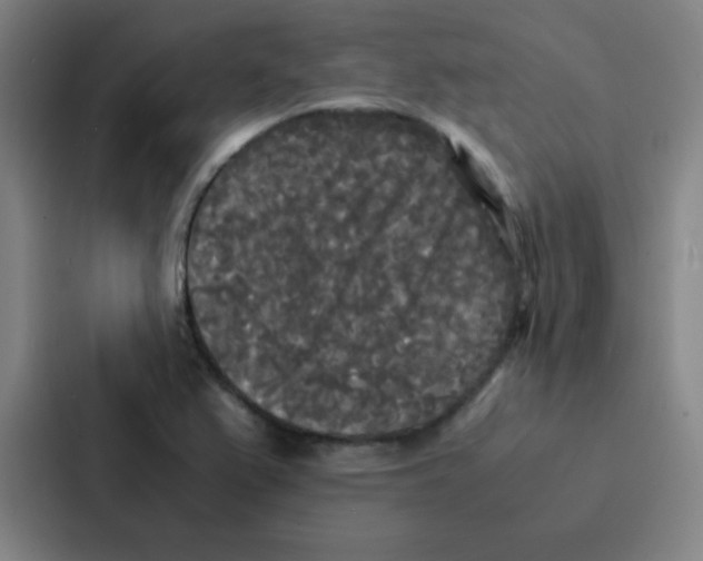 X0000086921367200705141714