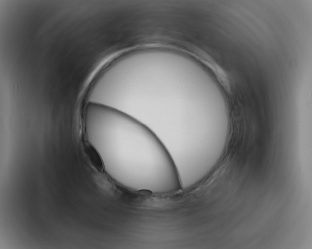 X0000086921368200705141714