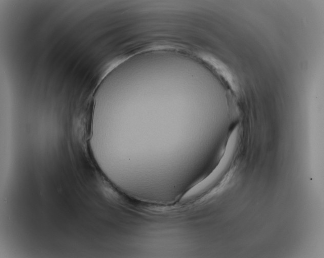 X0000086921369200705141714