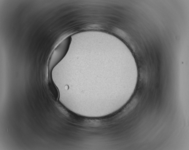 X0000086921370200705141714