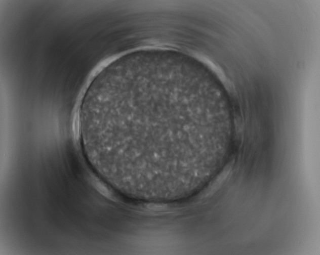 X0000086921371200705141714