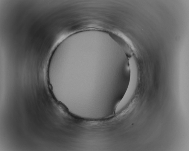 X0000086921373200705141714