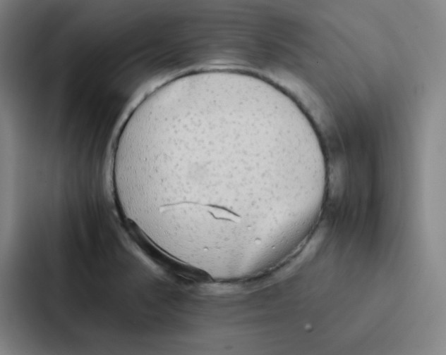 X0000086921374200705141714