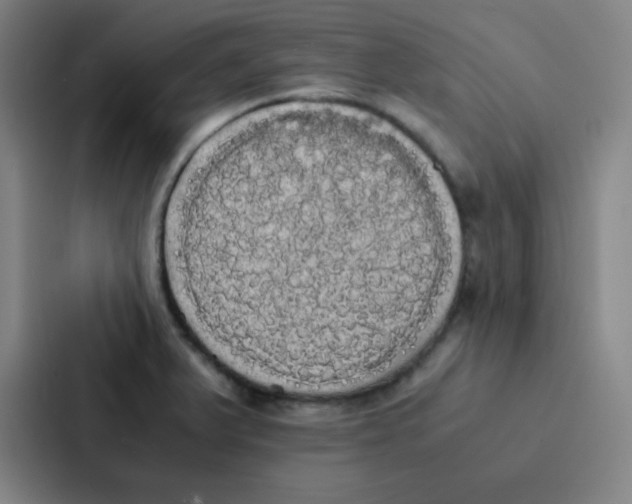 X0000086921375200705141714