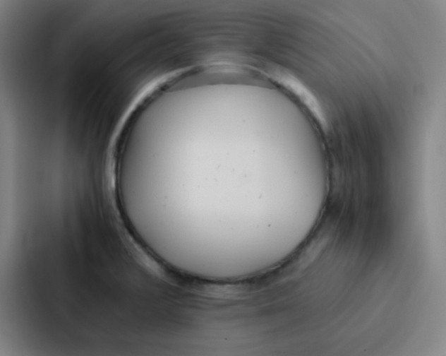 X0000086921376200705141714