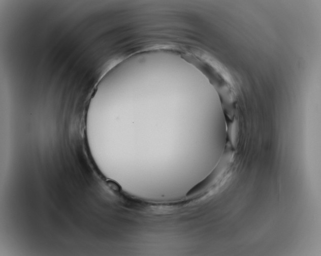 X0000086921377200705141714