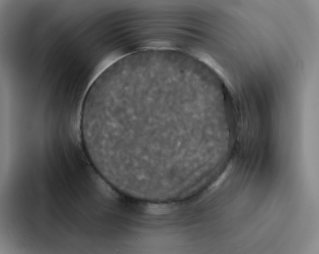 X0000086921378200705141714