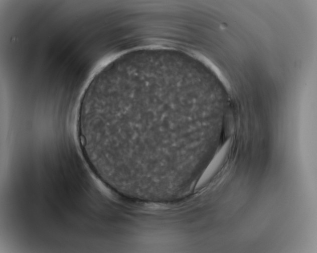 X0000086921379200705141714