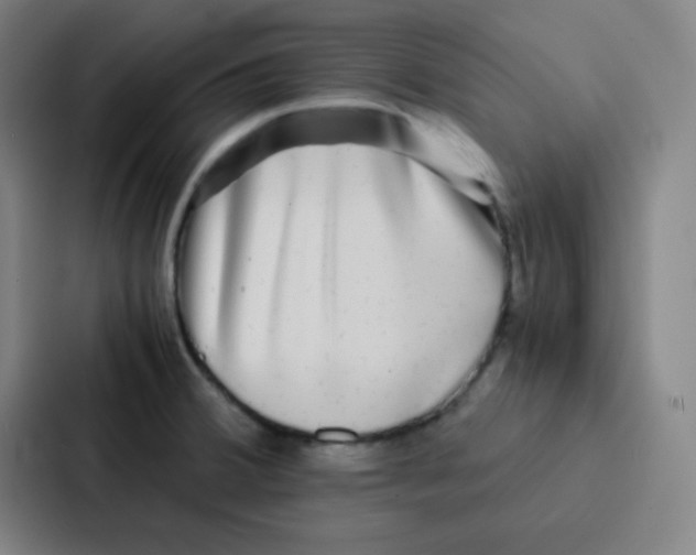 X0000086921380200705141714